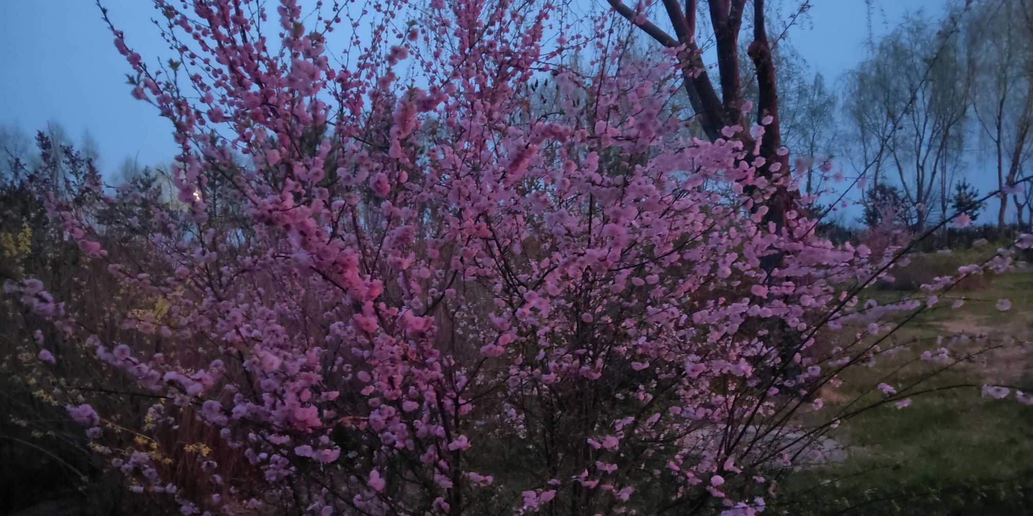 2021050303.jpg 2021050303.jpg