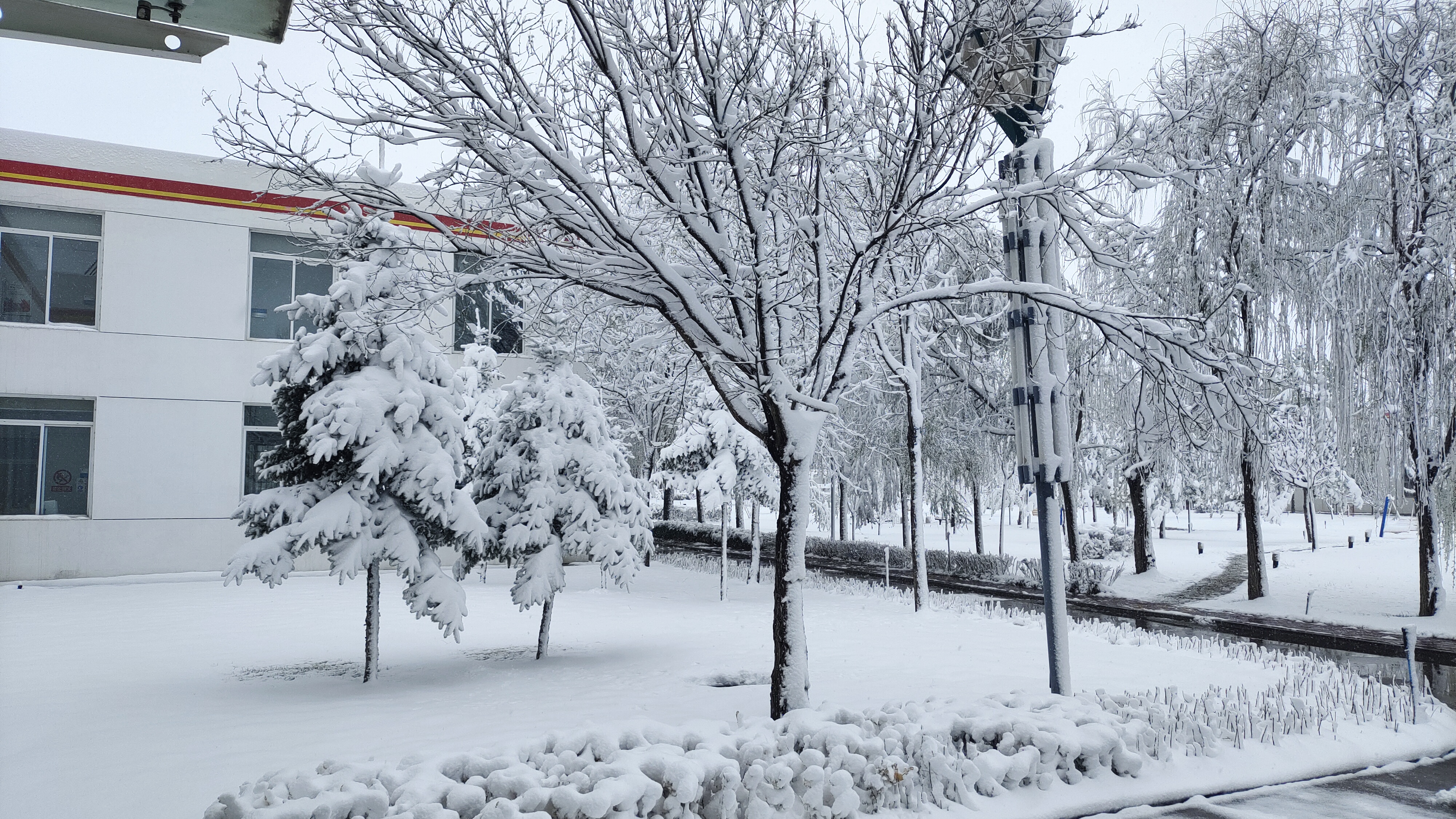 下雪了
